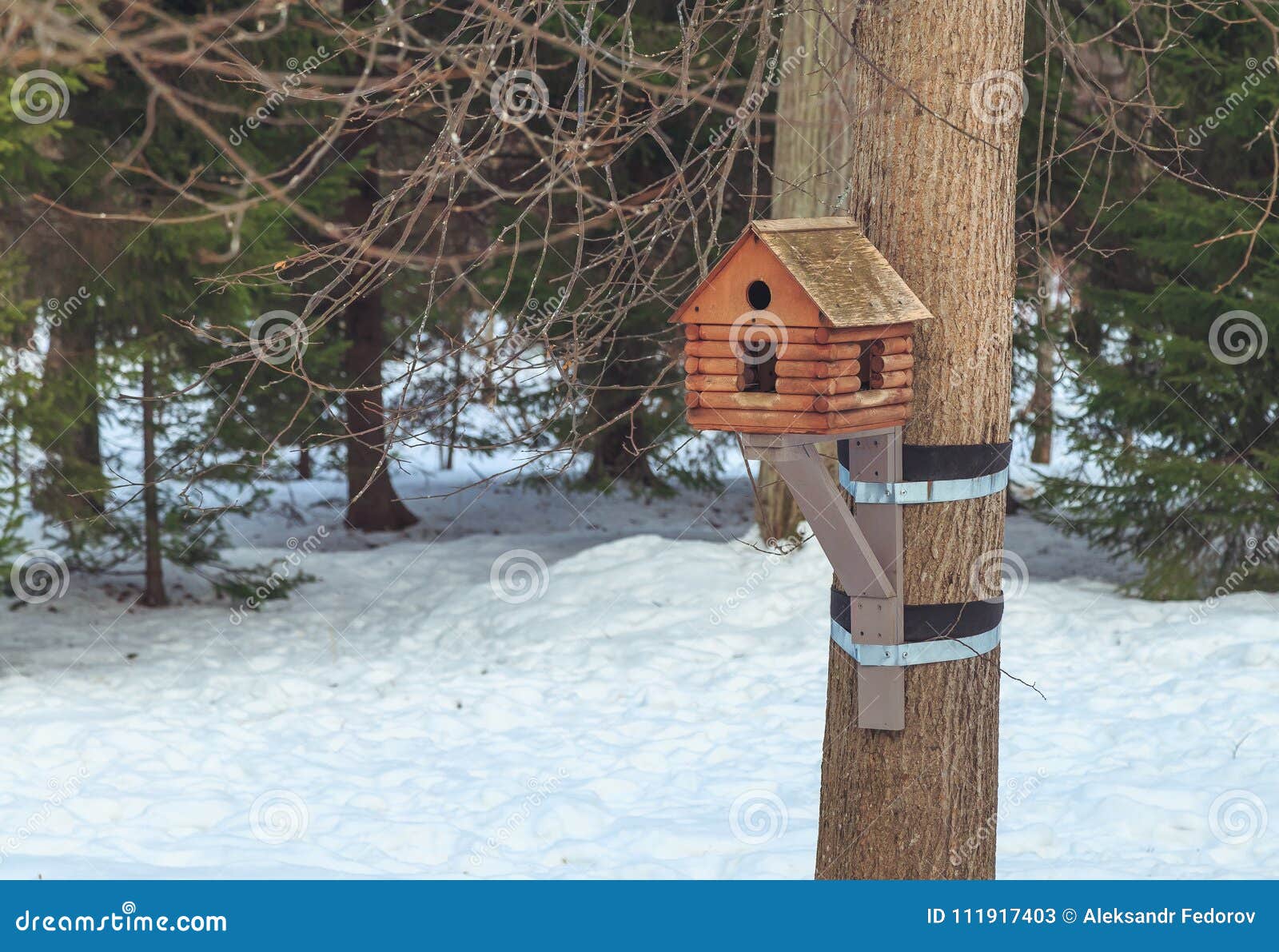 Nesting Box in Winter in the Woods Stock Image Image of branch