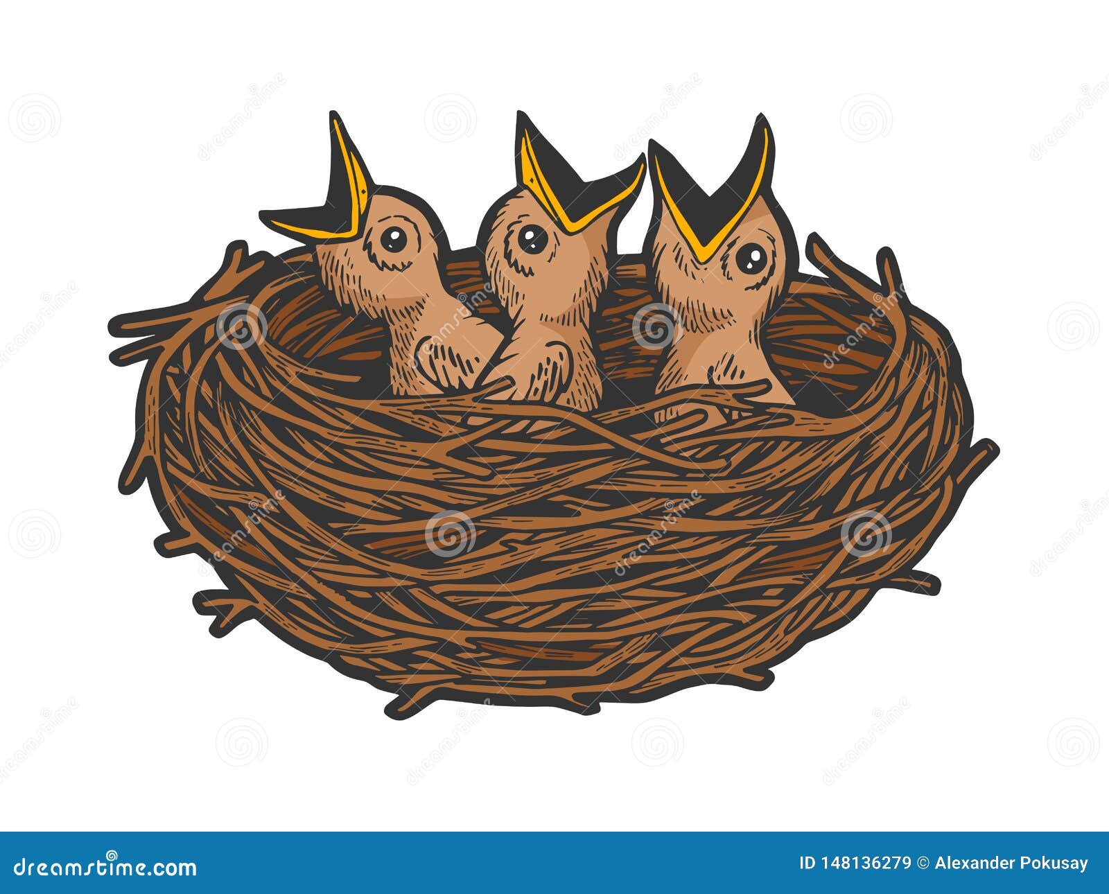Nestling Bird in Nest Color Sketch Engraving Stock Vector