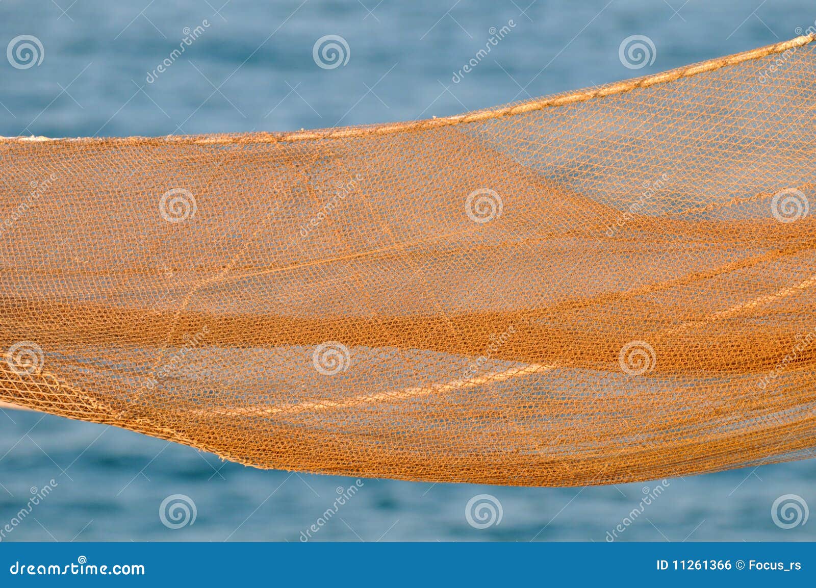 184 Fishing Net Fish Transparent Stock Photos - Free & Royalty-Free Stock  Photos from Dreamstime