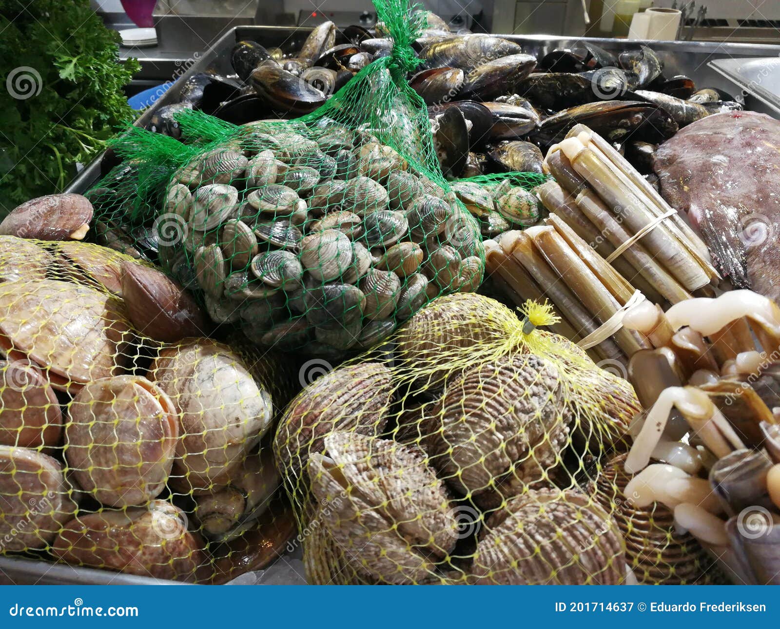 Net Full of Mussels on the Seafood Market Stock Image Image of landscape, mussel 201714637