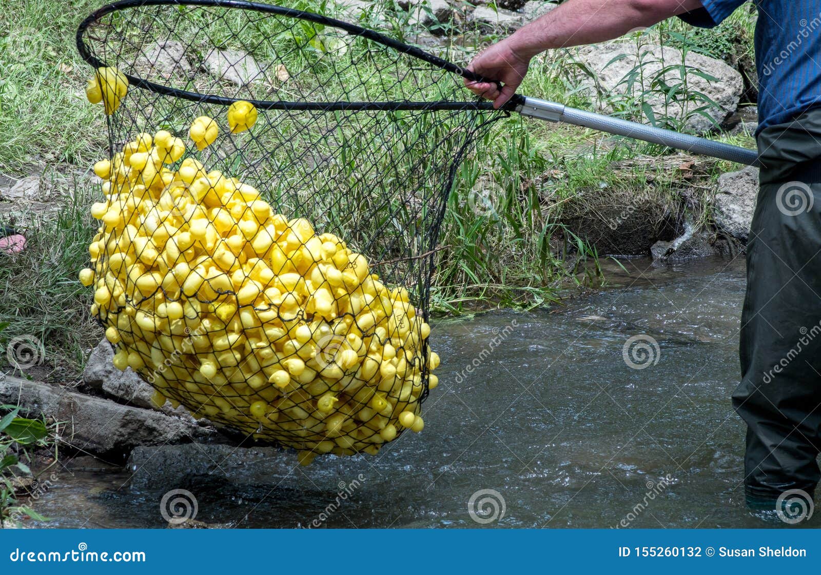 numbered rubber ducks