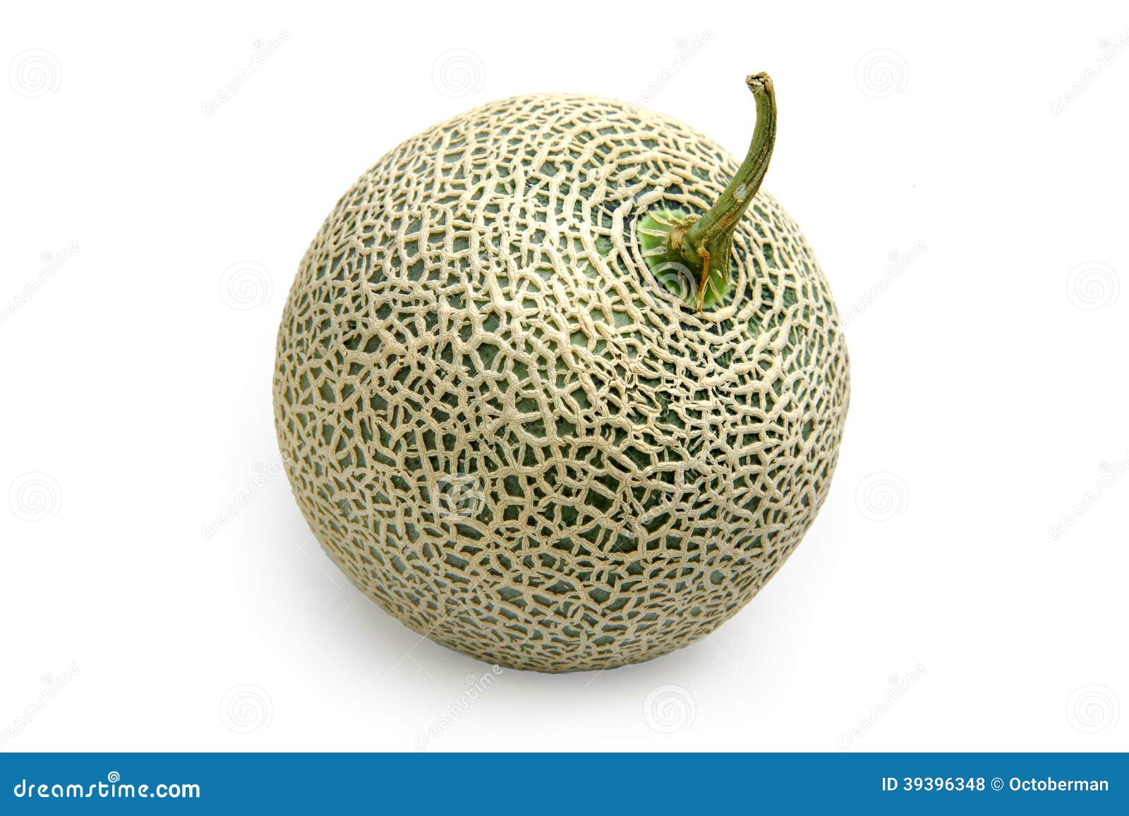 Net Melon stock photo. Image of mesh, fruit, path, background 39396348