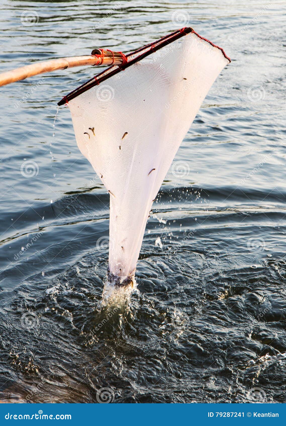 Net mesh scoop fish light. stock photo. Image of drops - 79287658