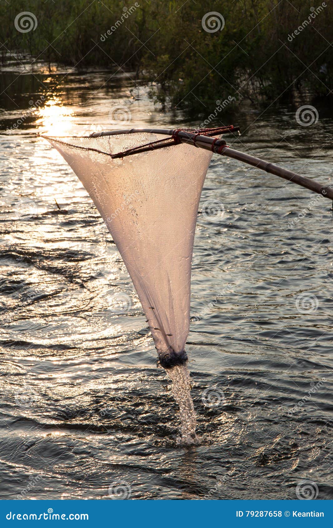 Net mesh scoop fish light. stock photo. Image of drops - 79287658