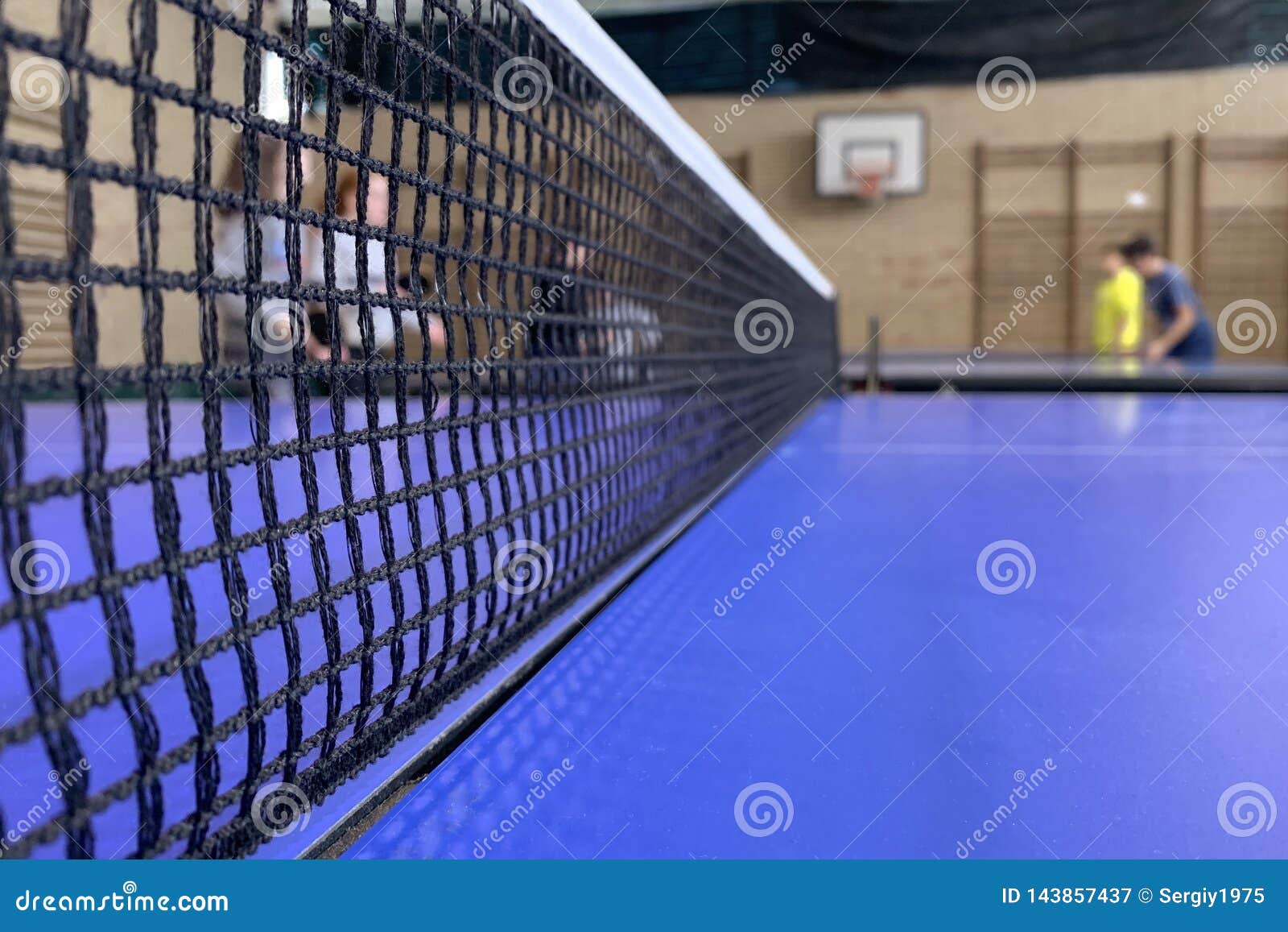 Net for Table Tennis Close Up Stock Image Image of leisure, close