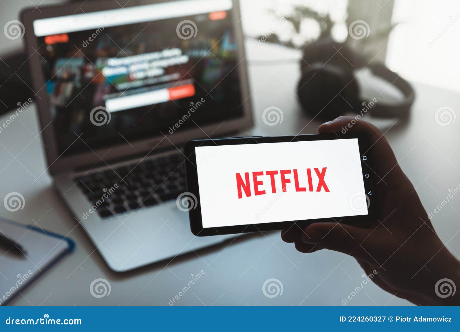 Netflix logo on computer monitor, Netflix-Logo auf Computermonitor