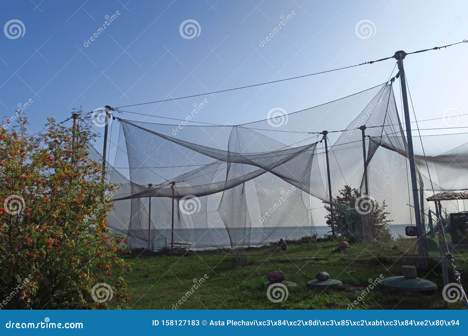 nets in the birds ringing station in vente cape, lithuania