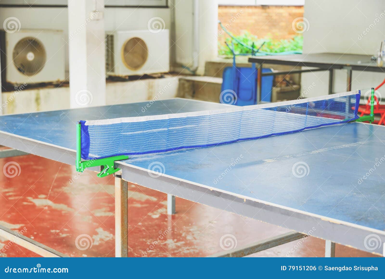 Nets Table tennis stock photo. Image of cushions, leisure 79151206