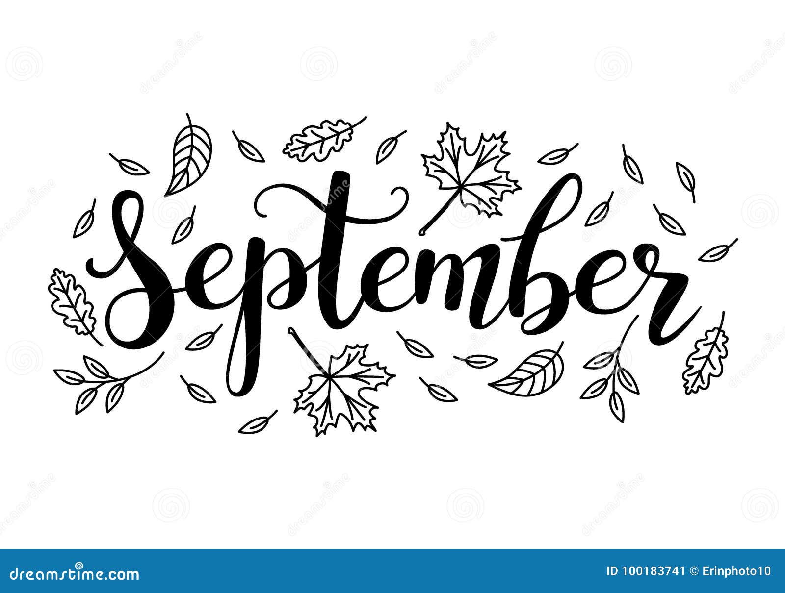 Напиши слово сентябрь. Сентябрь надпись. Сентябрь каллиграфия. Каллиграфическая надпись сентябрь. September надпись.