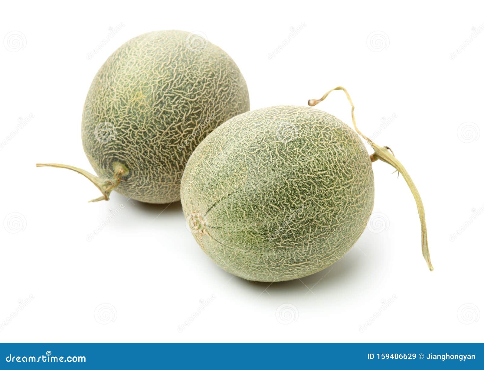 Netted Melon Farming RoyaltyFree Stock Image
