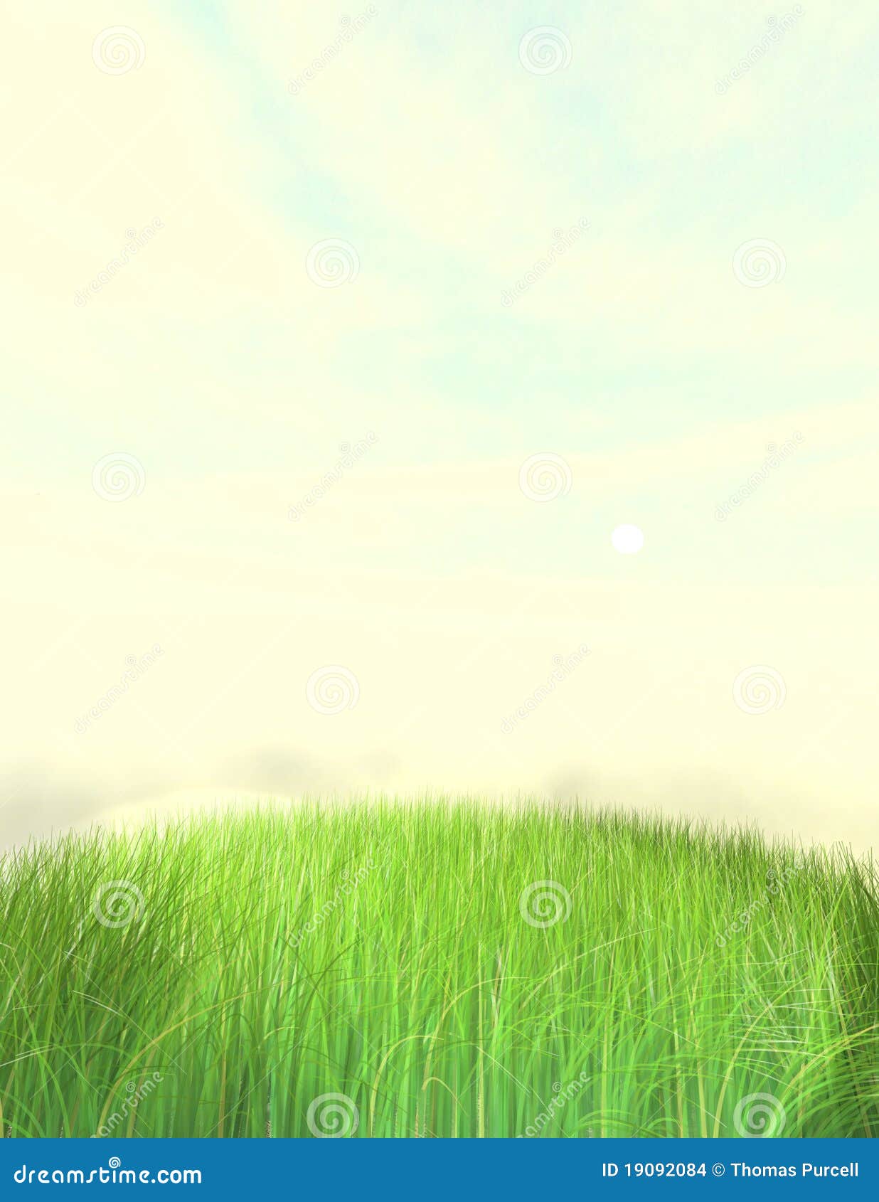 Netter Gras Rasen Hintergrund Stock Abbildung Illustration Von Rasen Gras