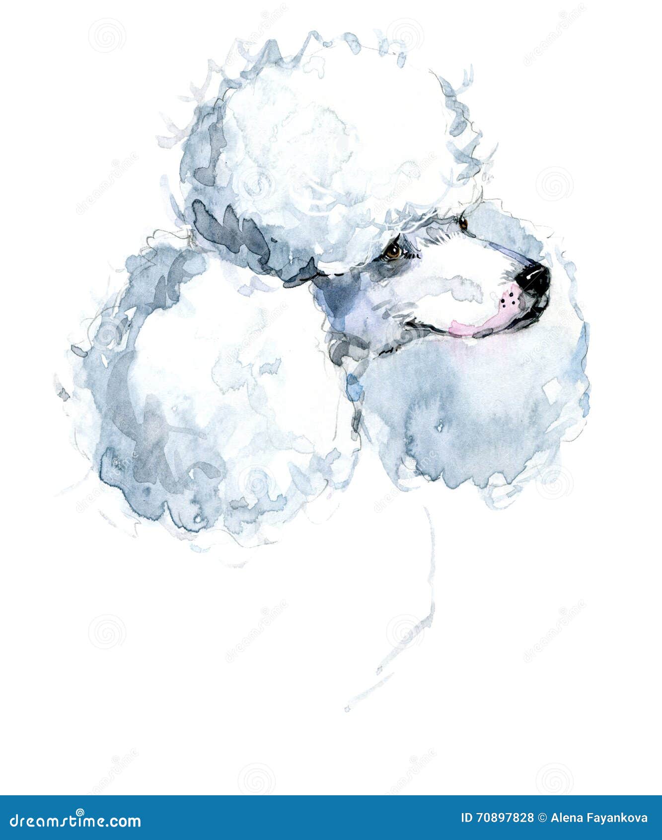 Netter Hund AquarellHund Pudelhunderasse Stock Abbildung