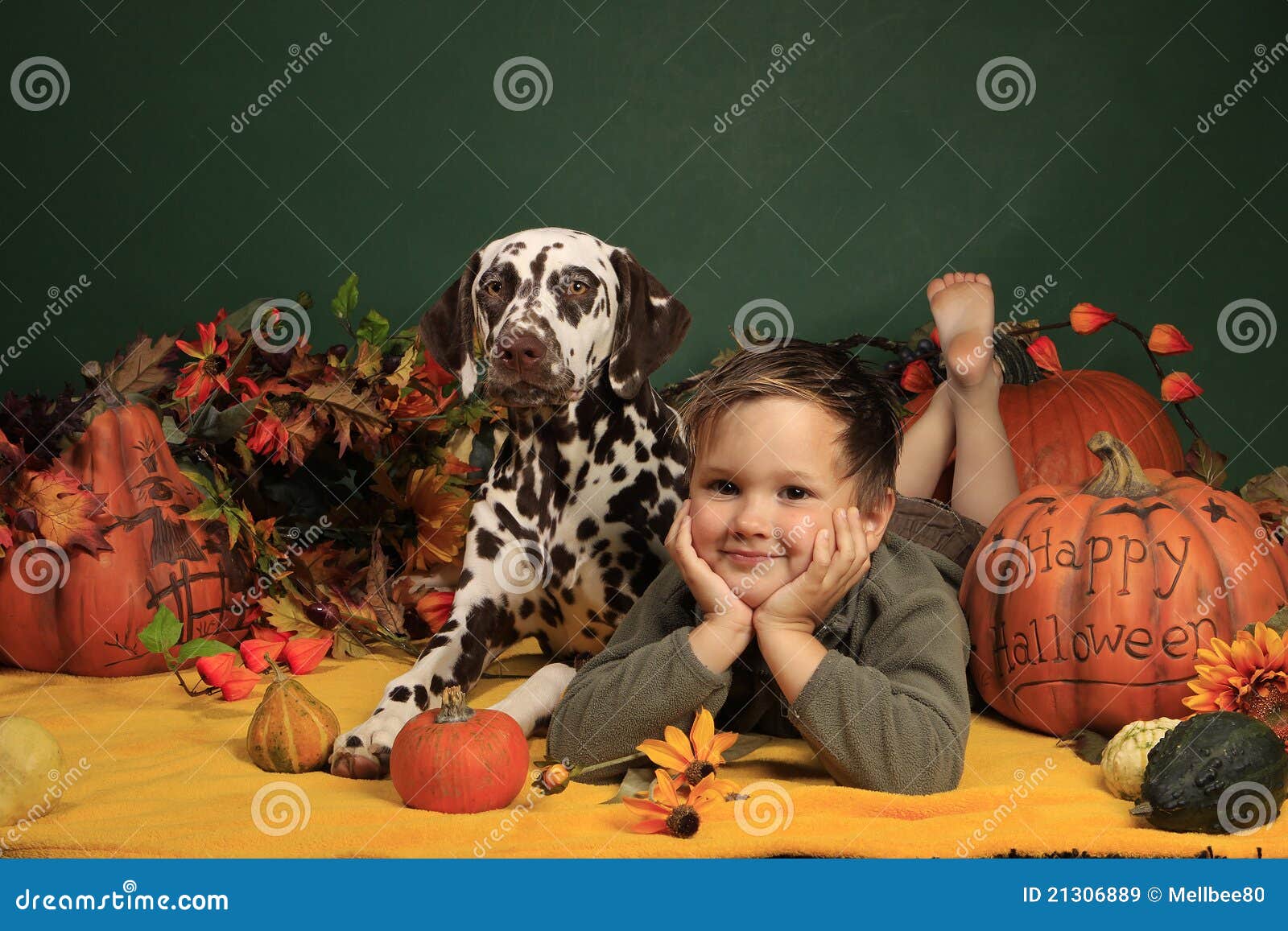 Netter Junge Und Sein Hund In Der HalloweenDekoration Stockbild Bild