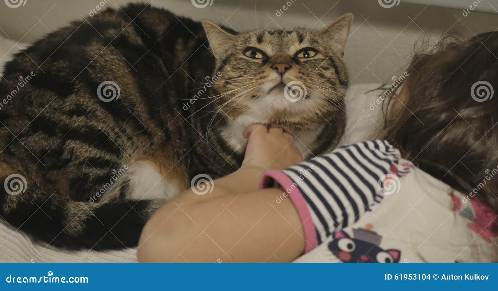 Nettes Baby Das Eine Katze Im Bett Streicht Stock Footage