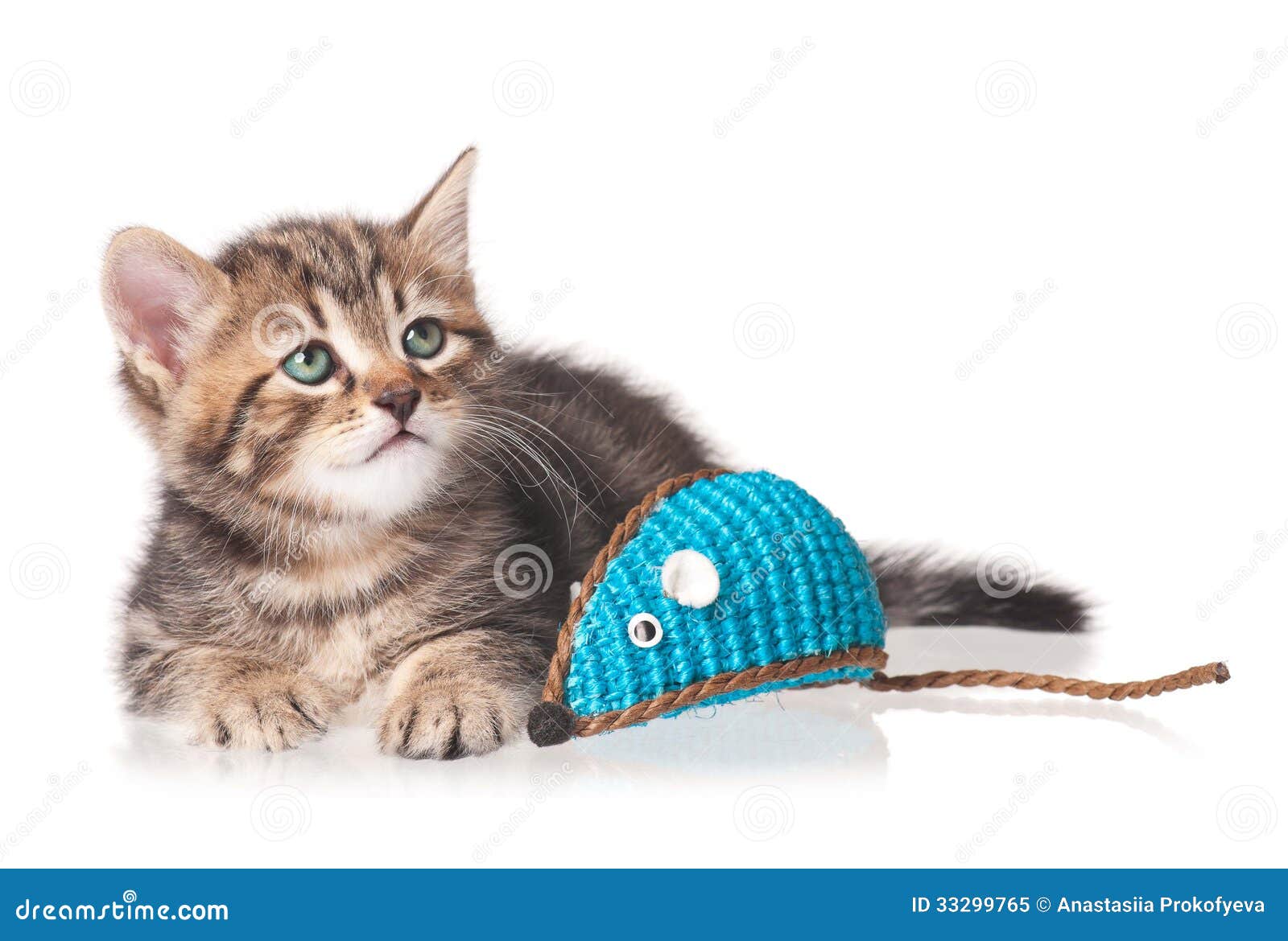 Nettes Kätzchen mit der farbigen Spielzeugmaus lokalisiert auf weißem Hintergrund