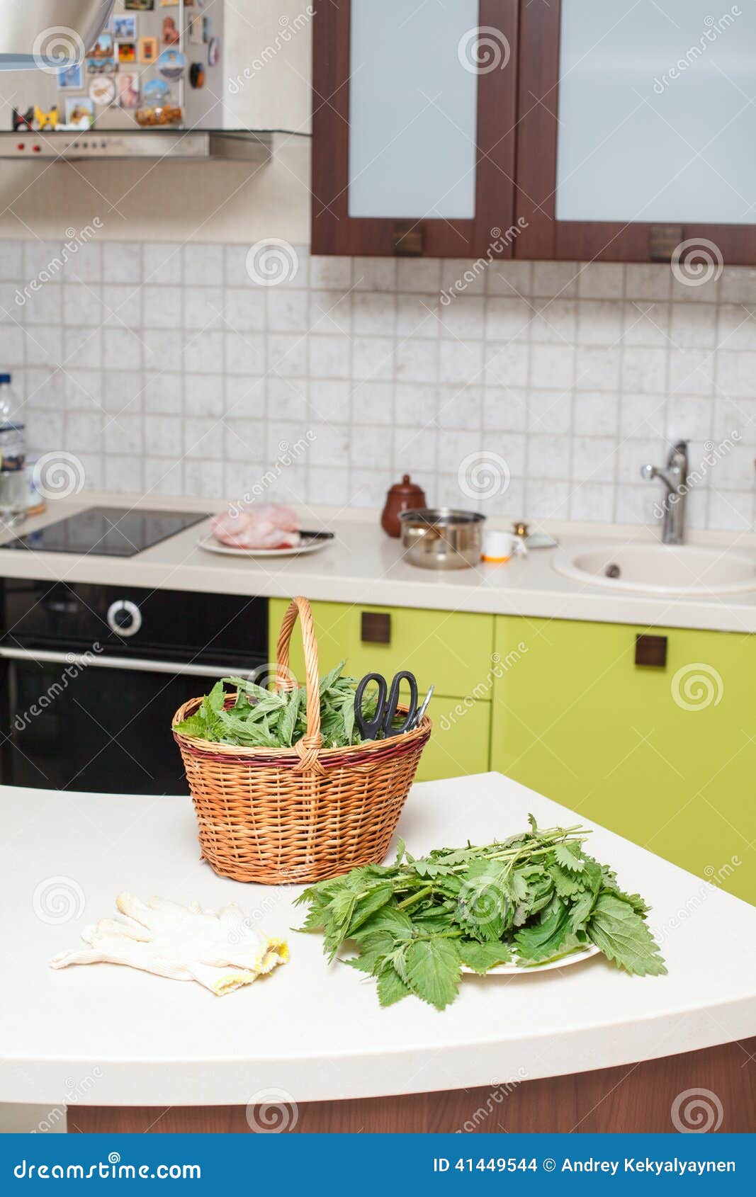 Nettle Collected in the Kitchen on the Table Stock Photo Image of