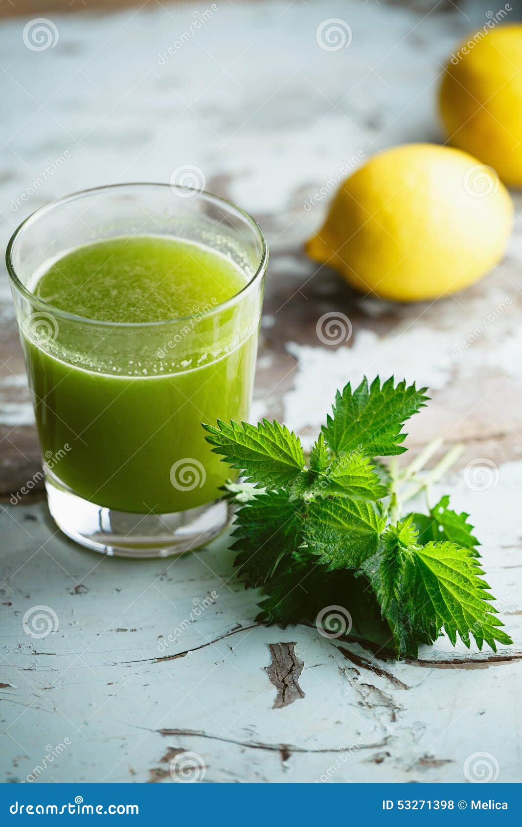 Nettle and Lemon Juice stock photo. Image of common, fresh 53271398