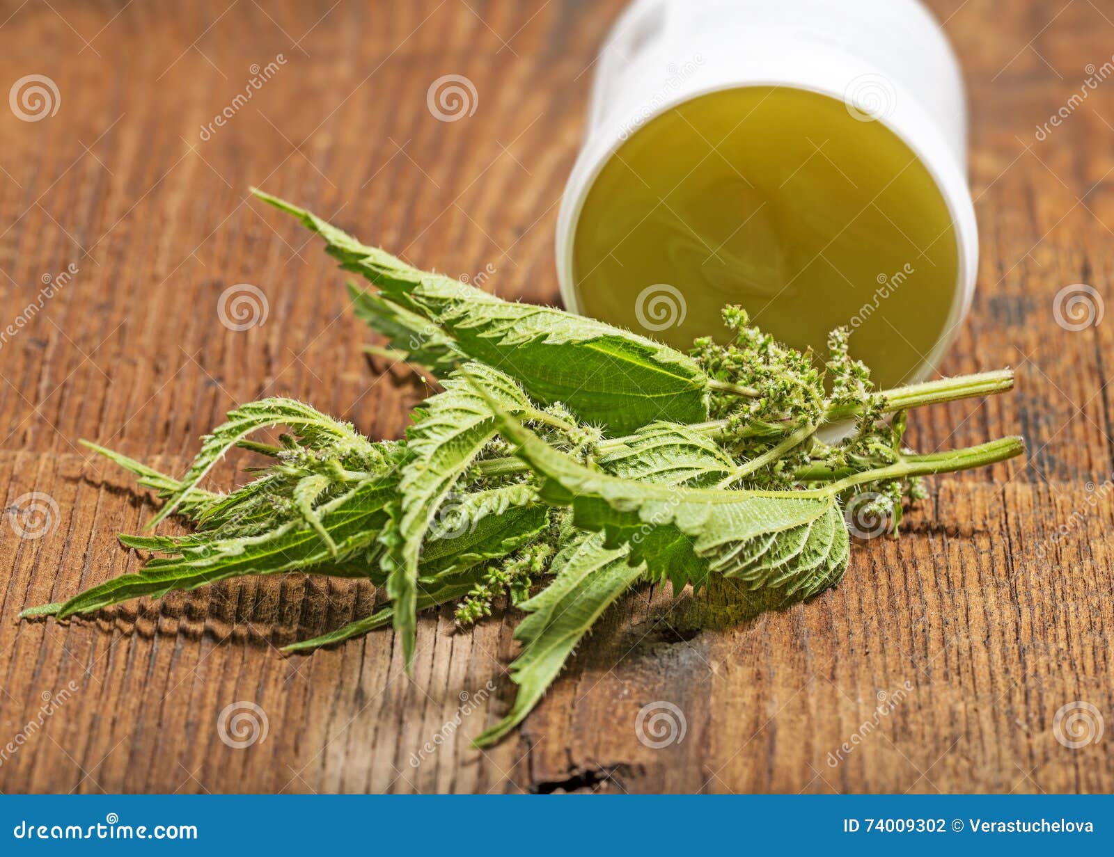 nettle tincture - extract