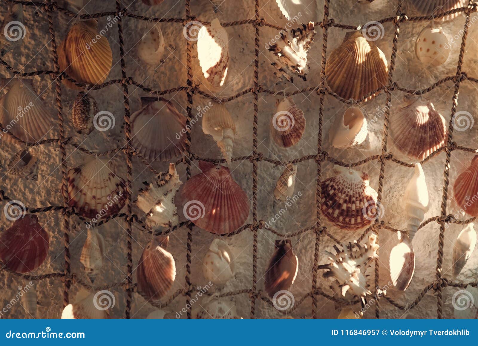 Network with Beautiful Seashells As Decor. Fishing, Fishing Net