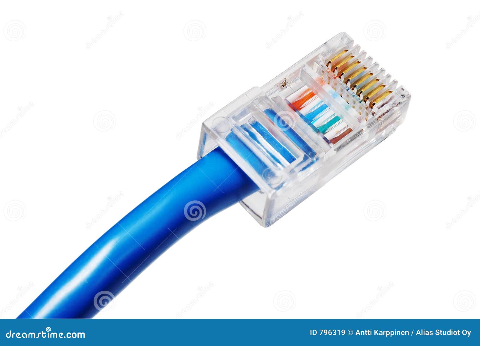 network cable