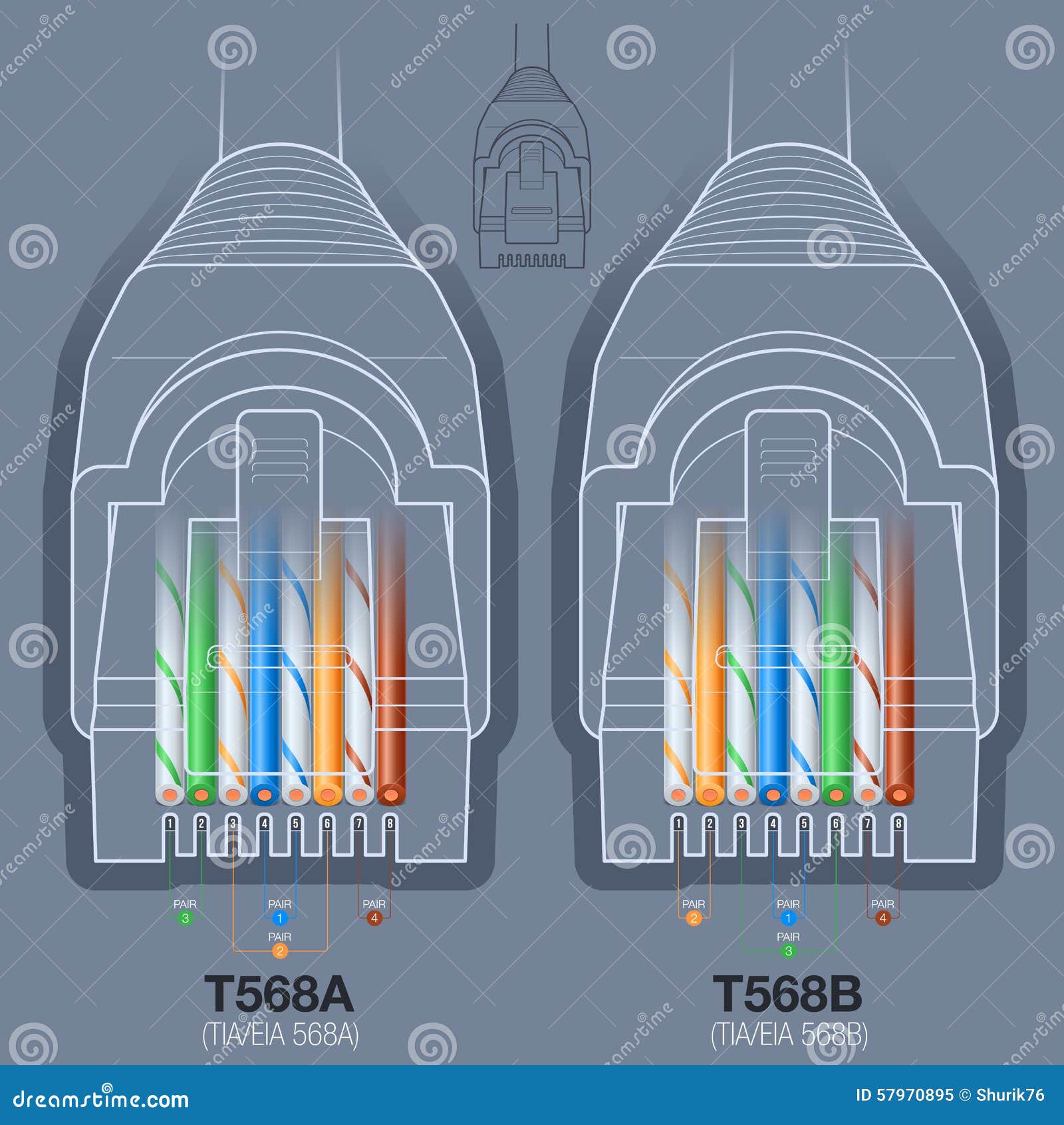 Rj45 Data Jack Wiring Diagram from thumbs.dreamstime.com