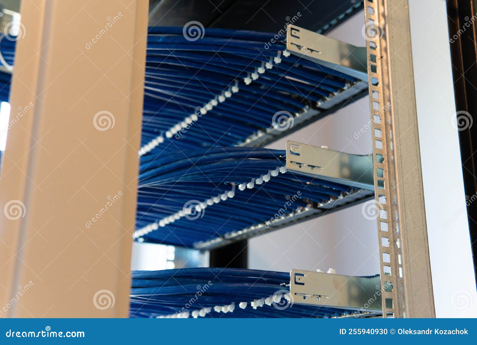 Network Cable on a Network HUB. Lan Cable Management Stock Photo