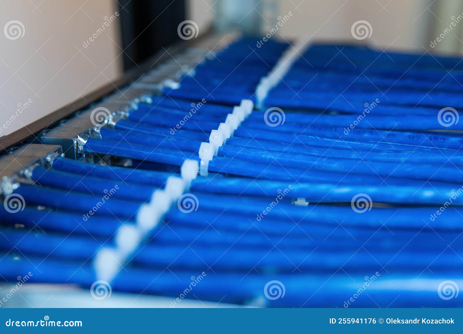 Network Cable on a Network HUB. Lan Cable Management Stock Photo