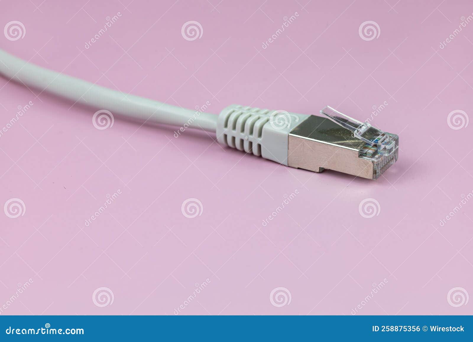 Network Cable RJ45 Isolated on a Pink Background Stock Photo Image of