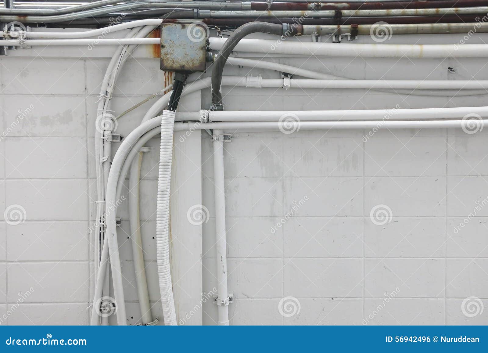 Network Electrical Cables on the White Wall Stock Photo Image of