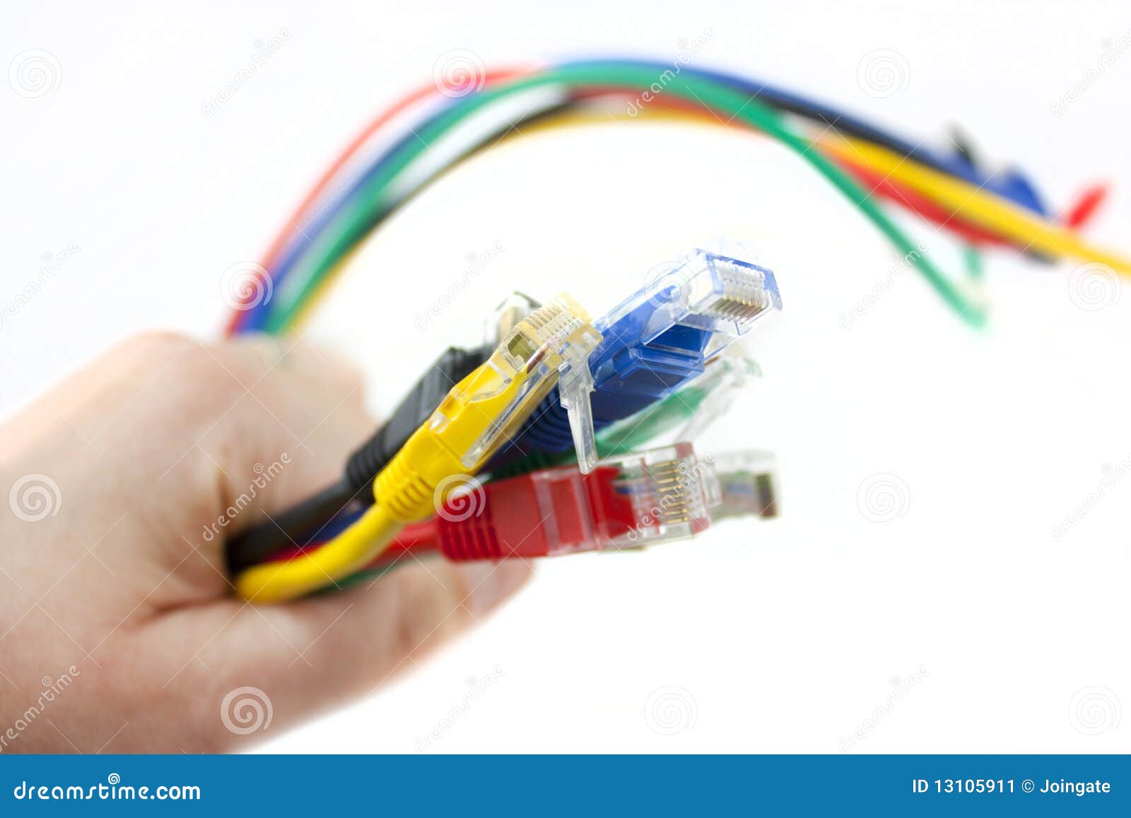 Netz kabelt in der Hand. Set des hell farbigen Ethernet-Netzwerkes kabelt auf weißem Hintergrund