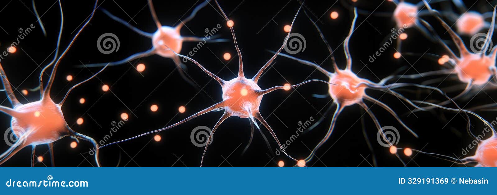 neural connections in the brain: highresolution visualization of neurons and synapses