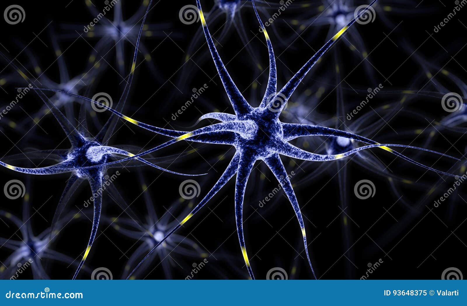 neural network , brain cells , human nervous system , neurons 3d 