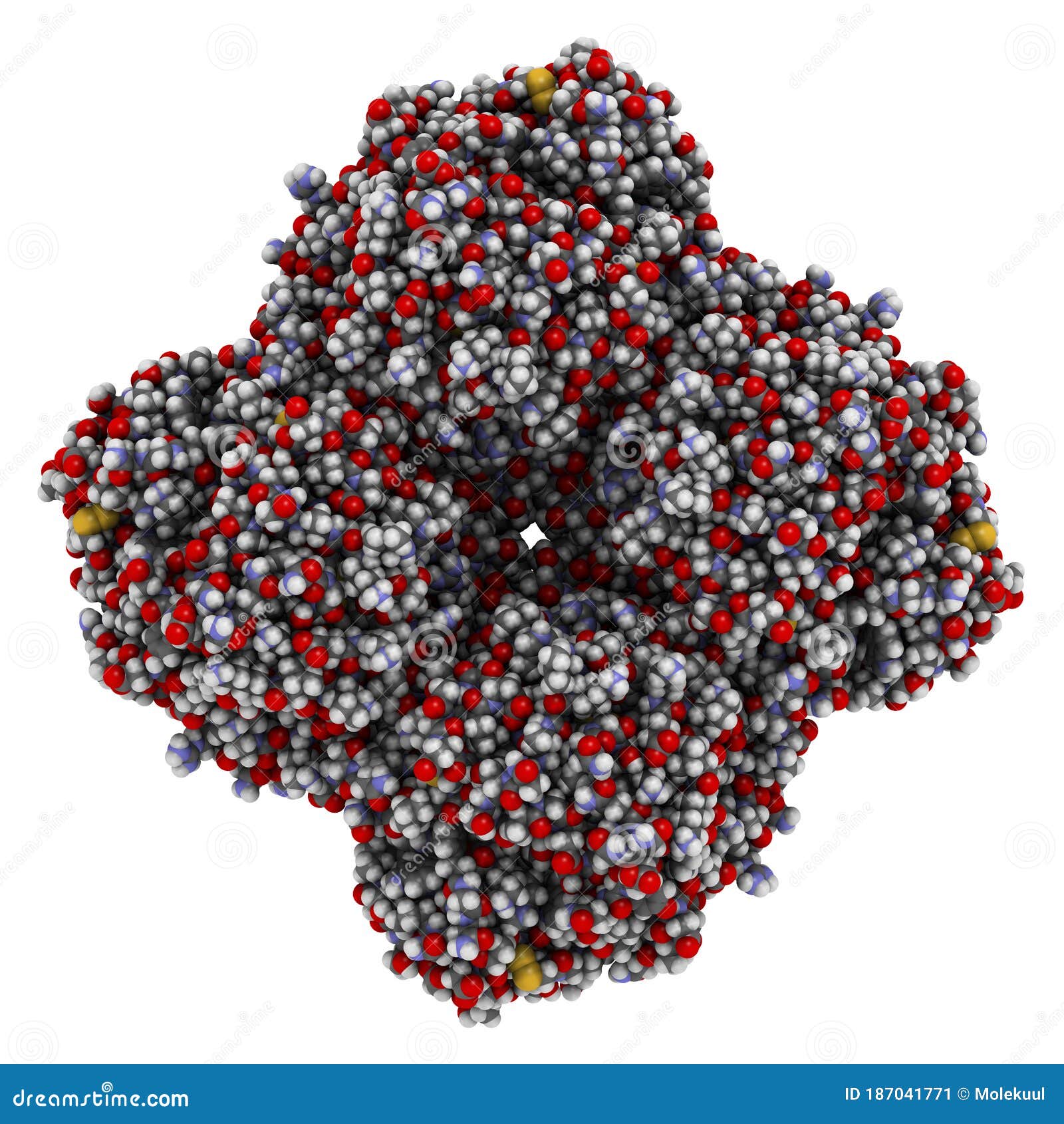 neuraminidase enzyme. structure of h5n1 avian influenza neuraminidase