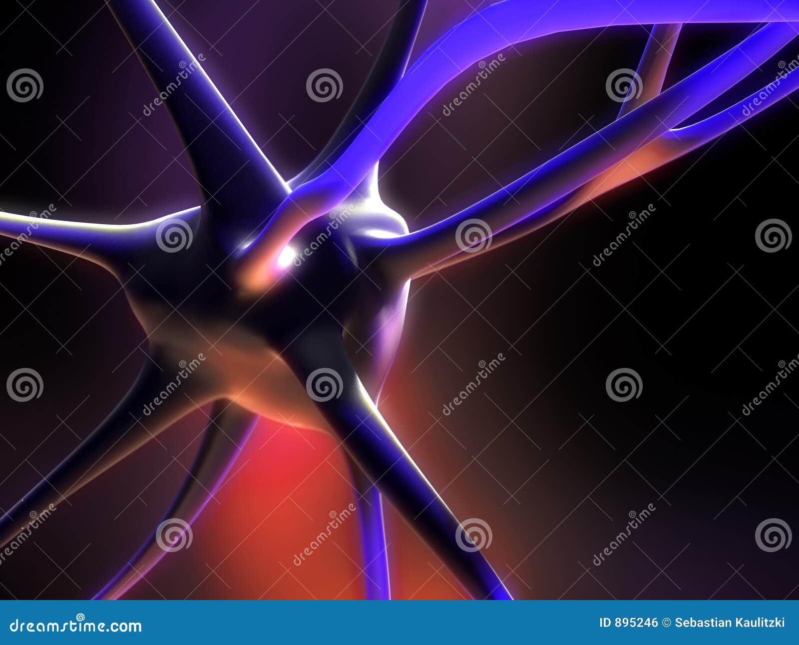 neuron cell