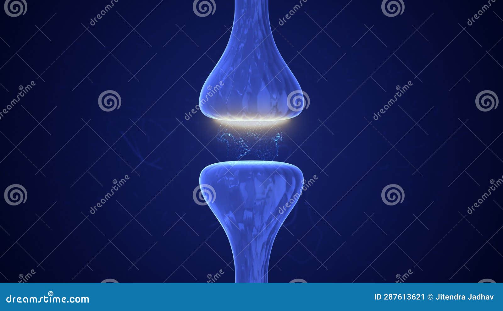 neuron receptor and synapse activity medical concept