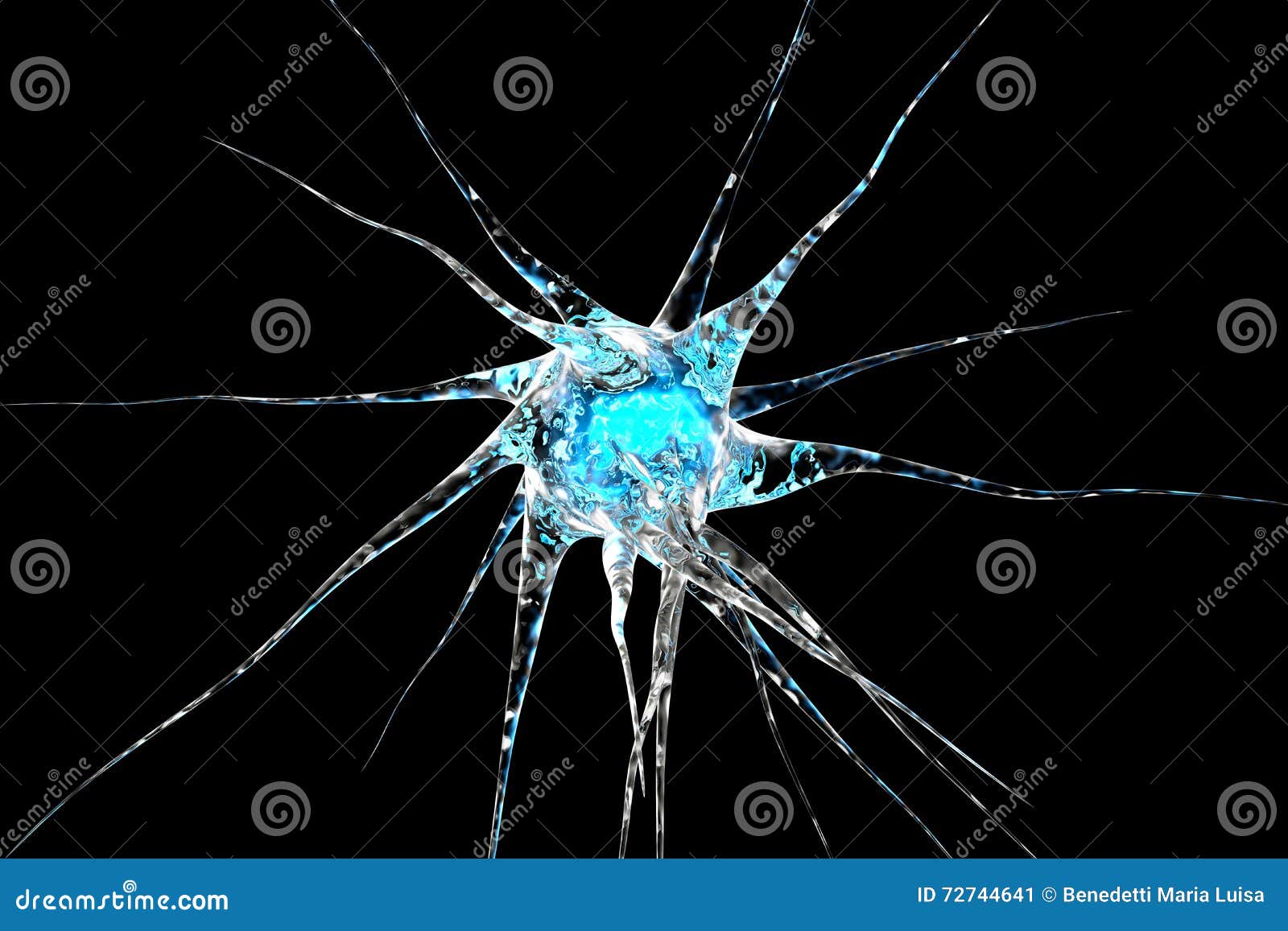 neuronal cell