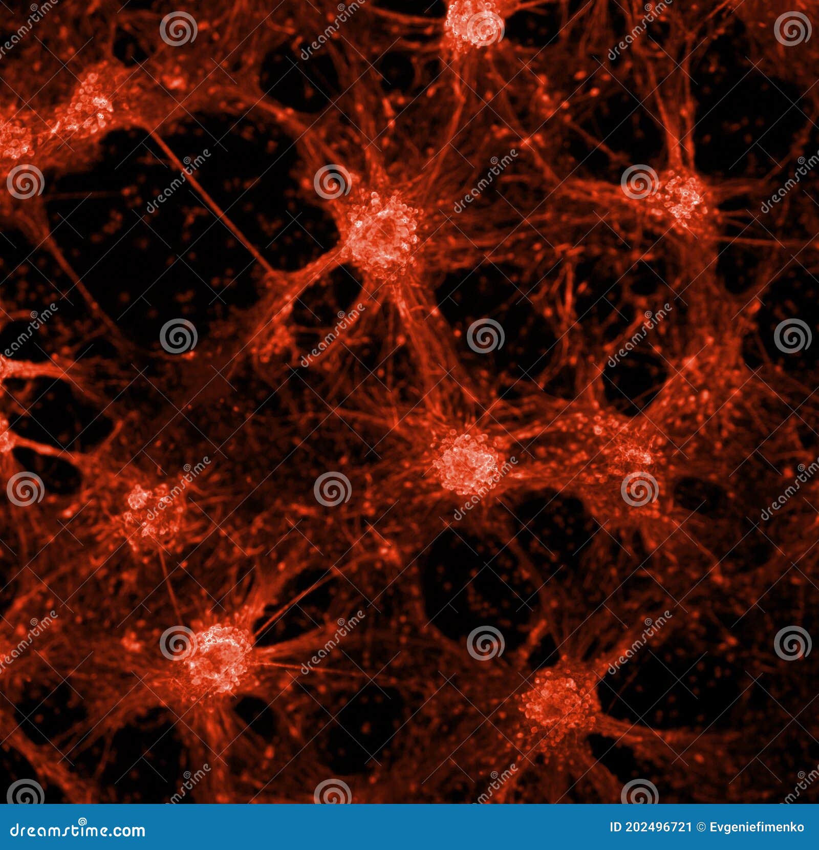 neuronal network concept image