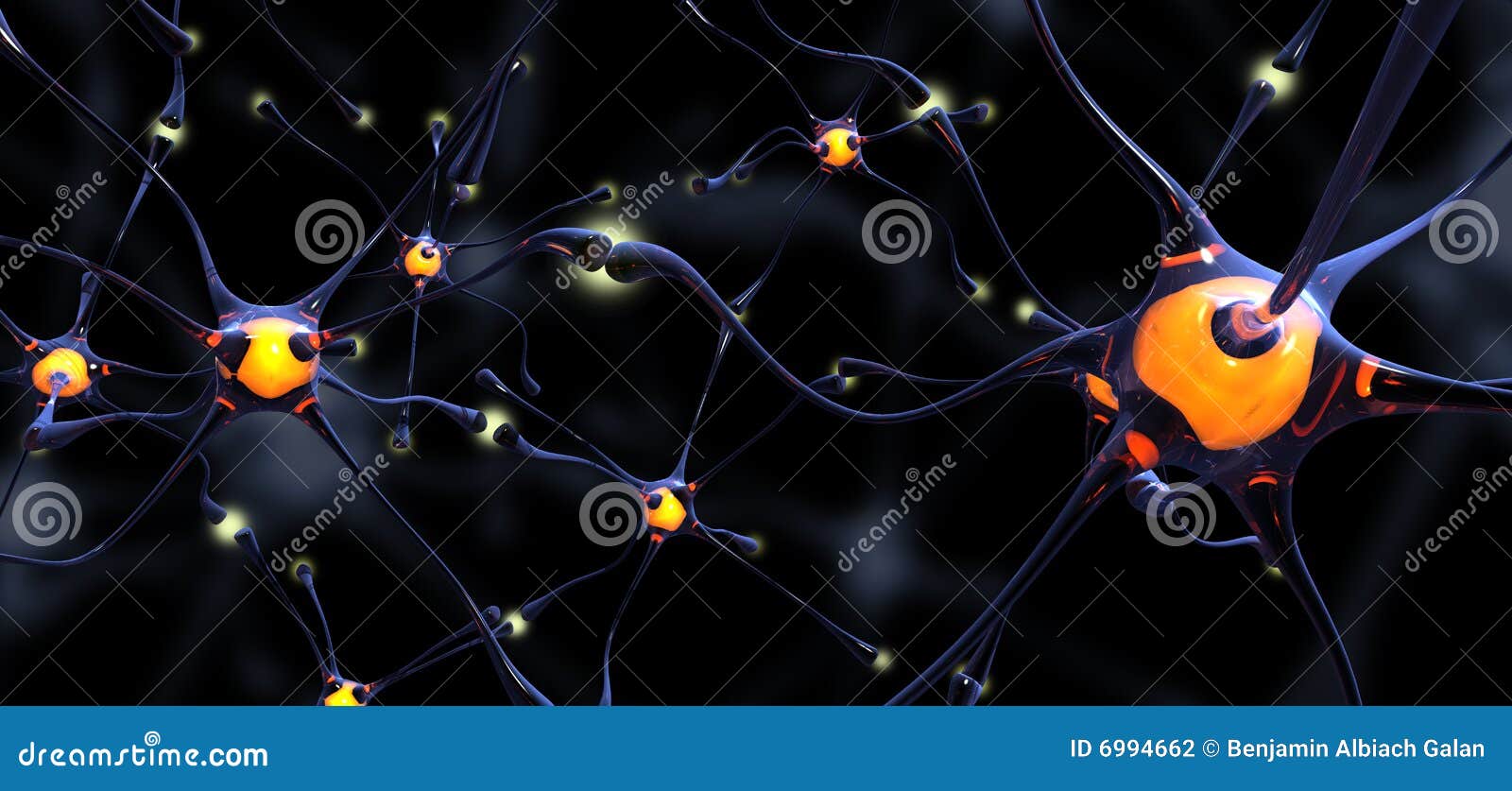 neuronas vidriosas