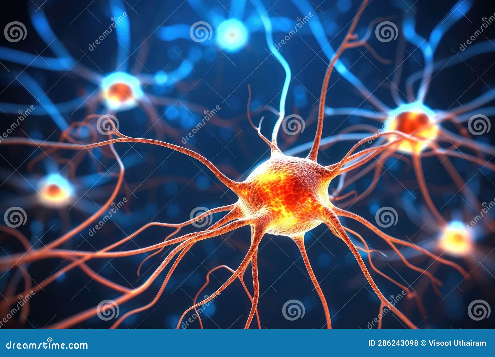 Neurons Brain Cell Medical Background, Active Nerve Cell Stock ...