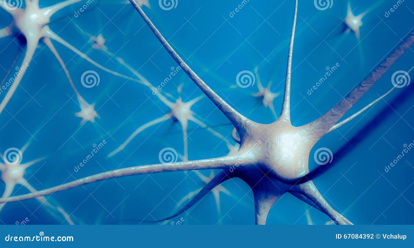neurons in brain, 3d  of neural network
