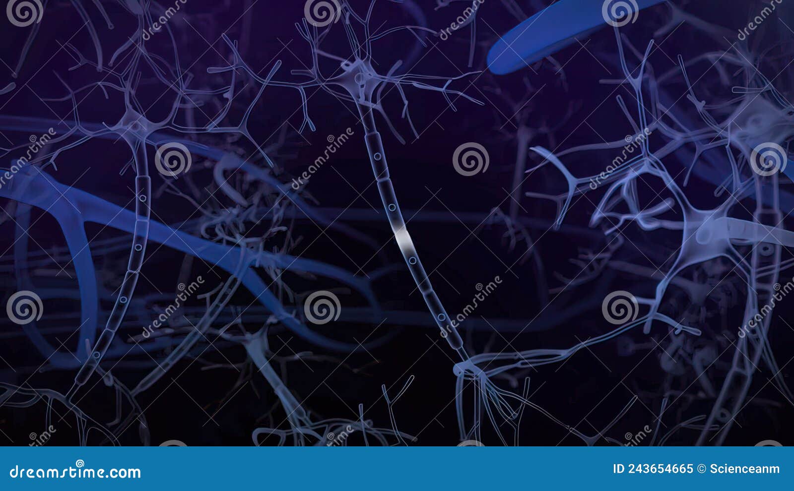 Neurons in the Brain.Synapse and Neuron Cells Sending Electrical ...