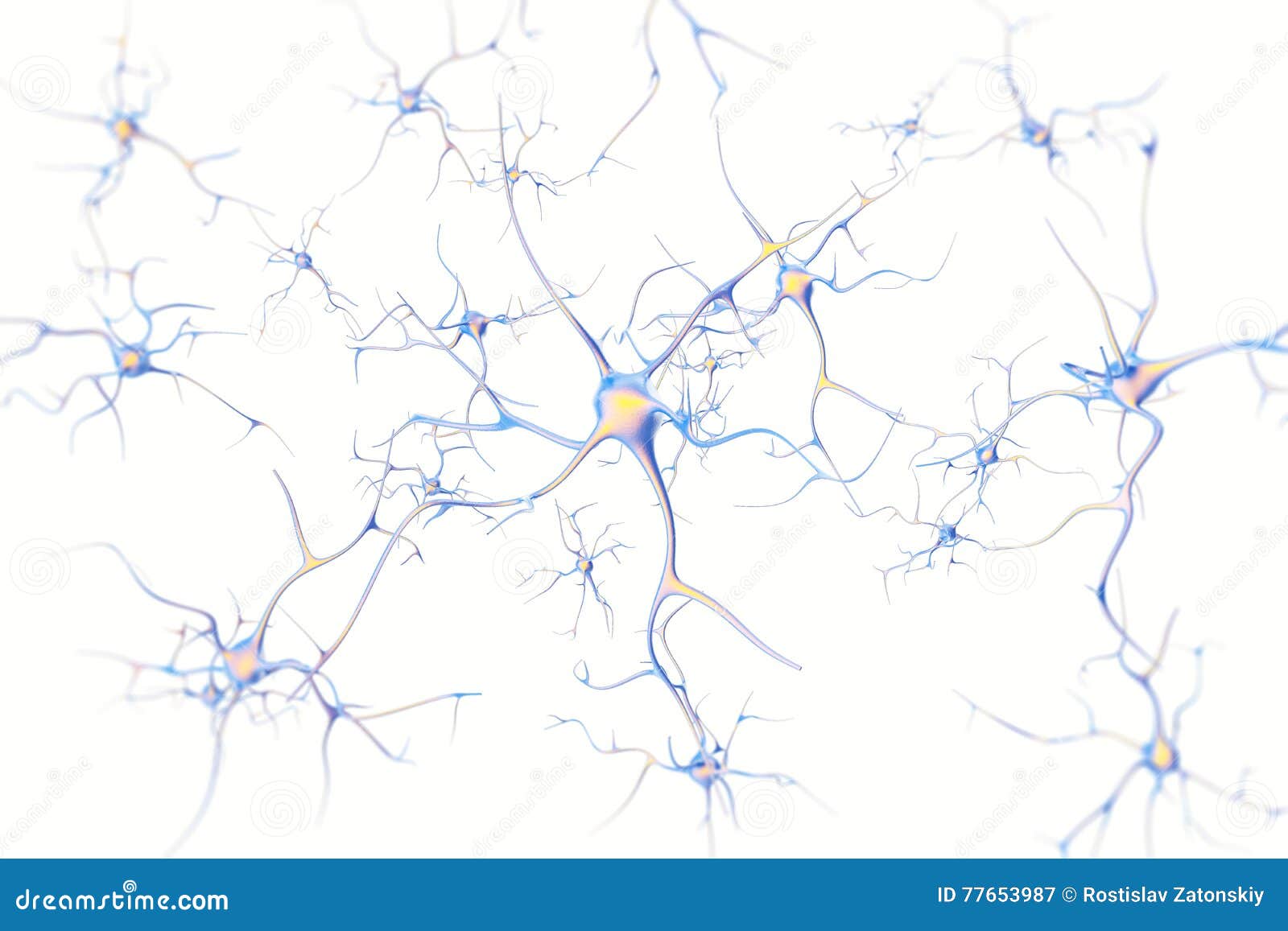 neurons in the brain on white background with focus effect. 3d rendering