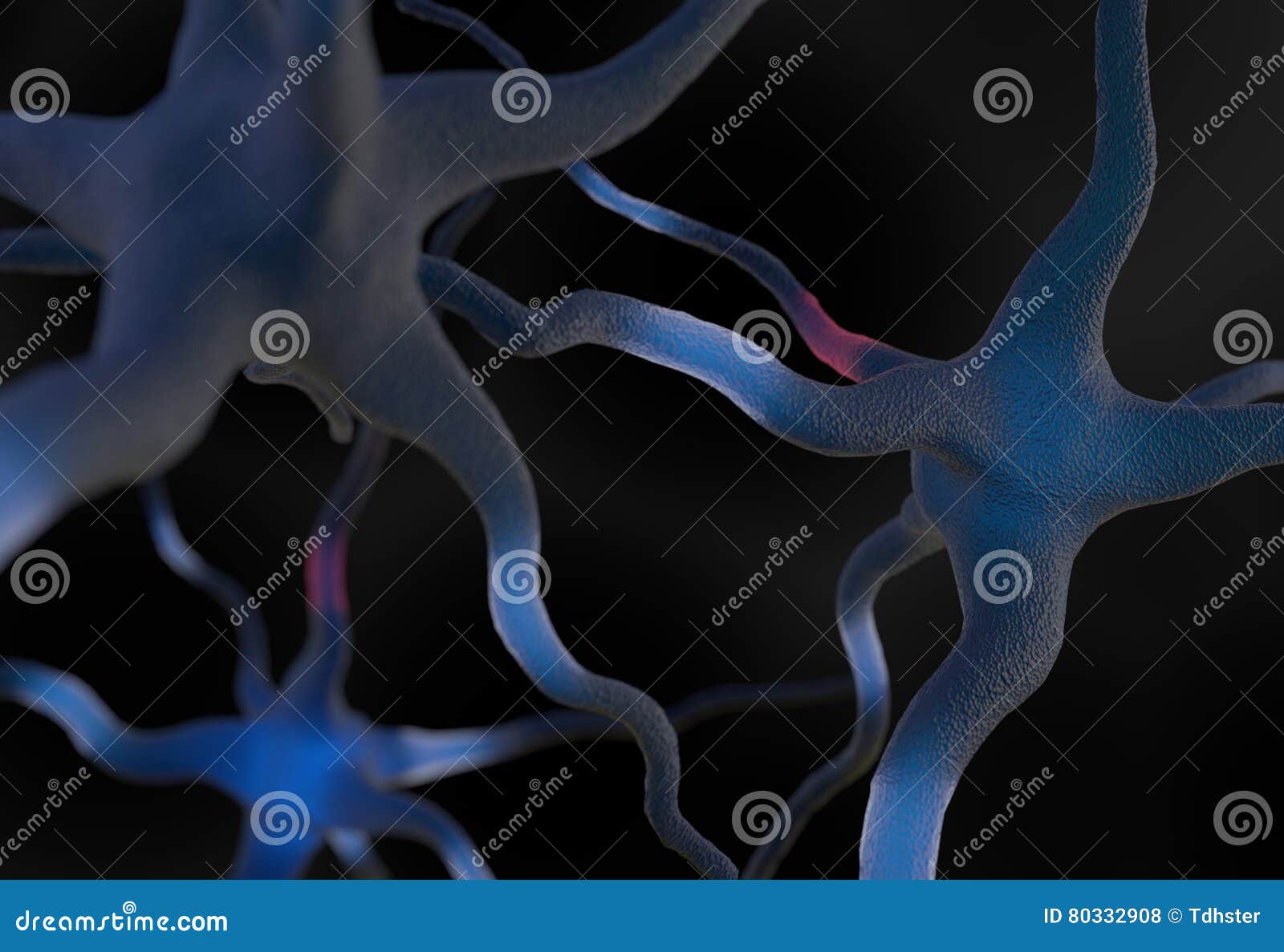 Neurons Connected in Brain 3d Illustration Stock Illustration