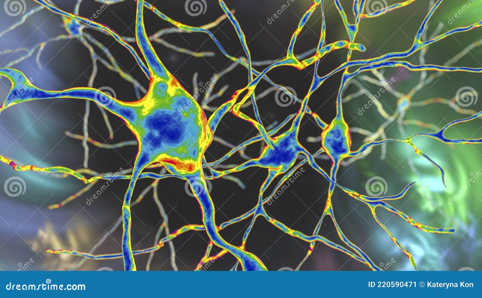 Neurons of Dorsal Striatum, 3D Illustration. Dorsal Striatum is a ...