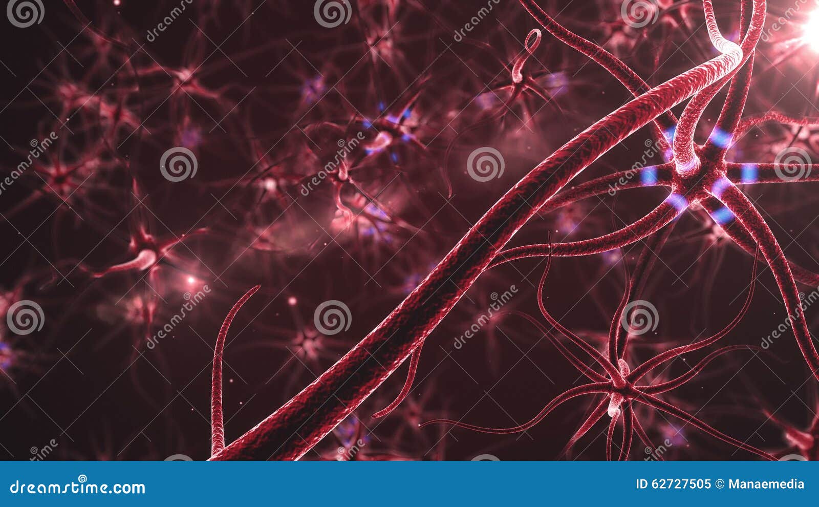 Electrical Neuron Splitting Single Multiple Neurology Concept Pulsing Stock  Video Footage by ©bobbigmac #350862580