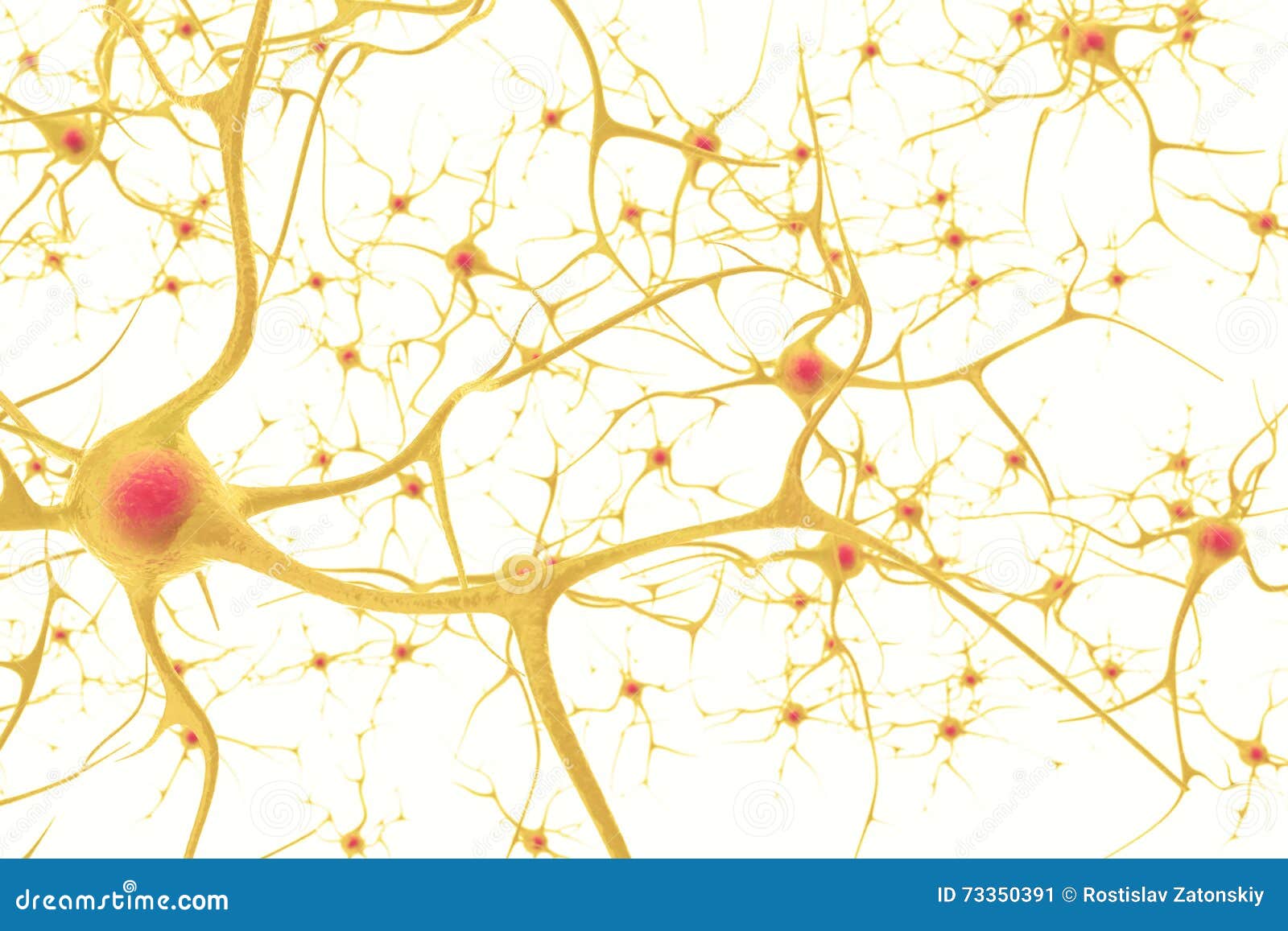 neurons in the human nervous system with the effect of depth field. 3d  on a white background