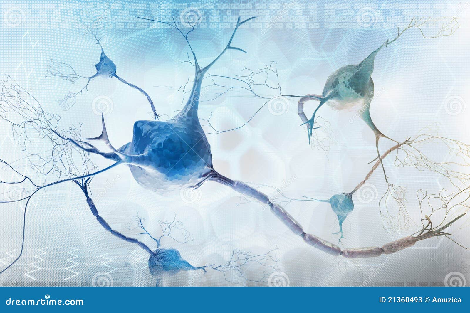 Neural networks modeling
