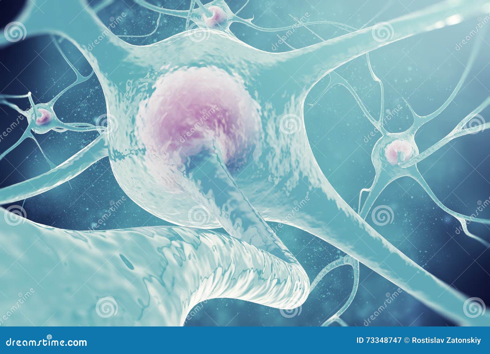 neurons of the nervous system. 3d  nerve cells