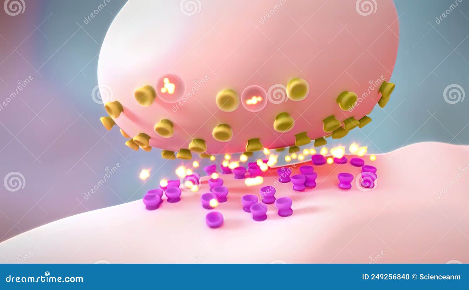 Neurotransmitters are Chemical Messengers in the Body Stock ... Biology Diagrams