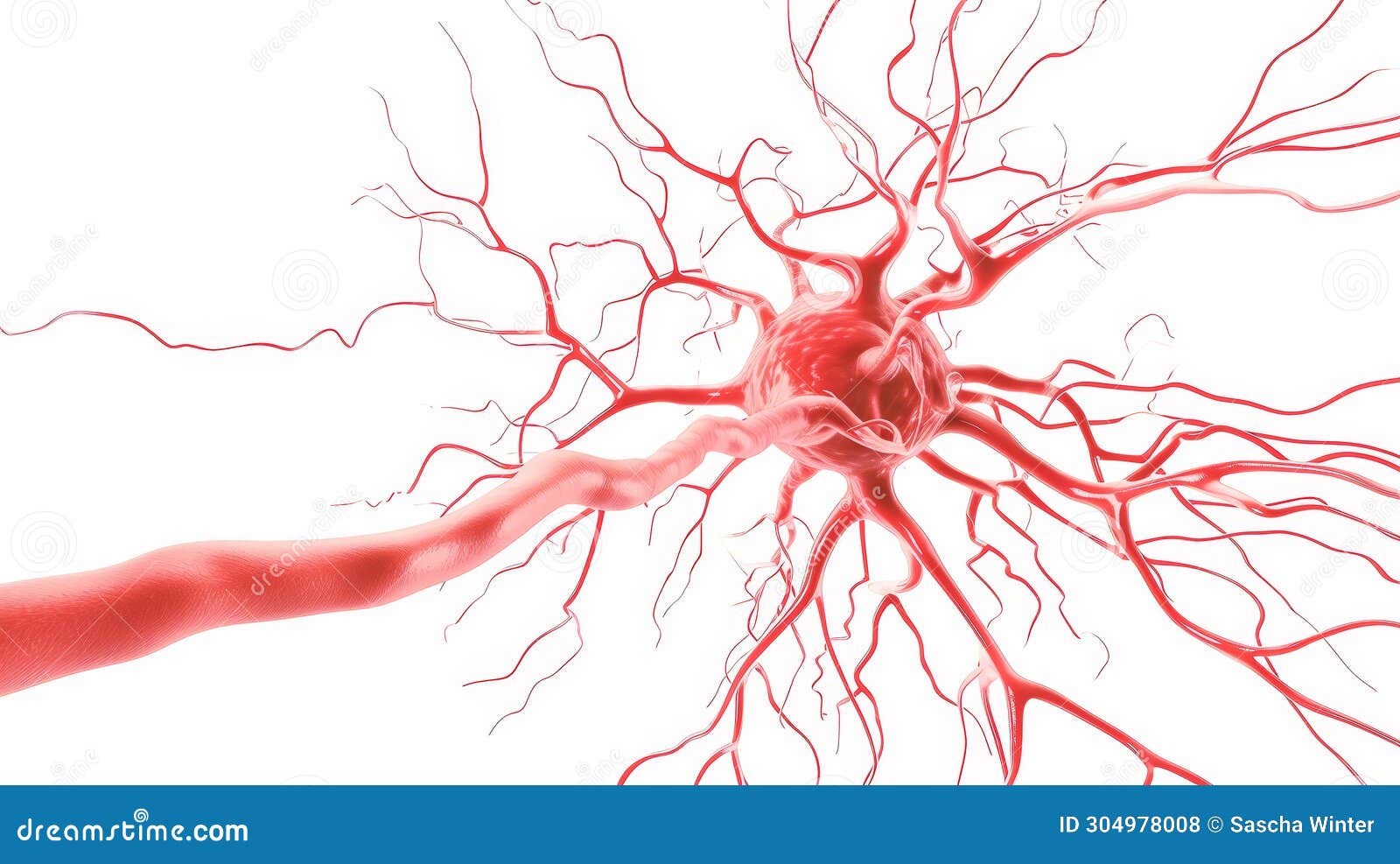 neuroverse: a mesmerizing render of  nerve network